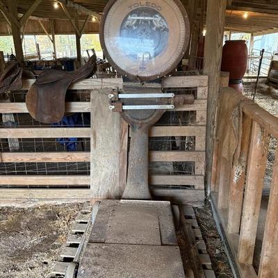 Sale Photo Thumbnail #229