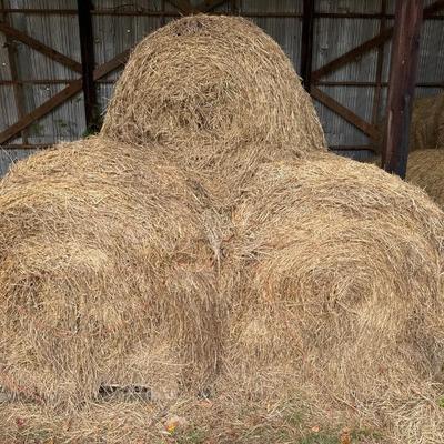 Sale Photo Thumbnail #111