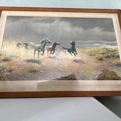 Sale Photo Thumbnail #543