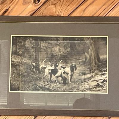 Sale Photo Thumbnail #632