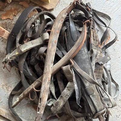 Sale Photo Thumbnail #76