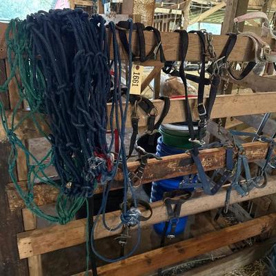 Sale Photo Thumbnail #217