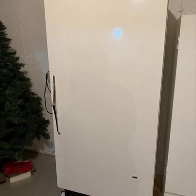 Sears Cold spot Freezer 