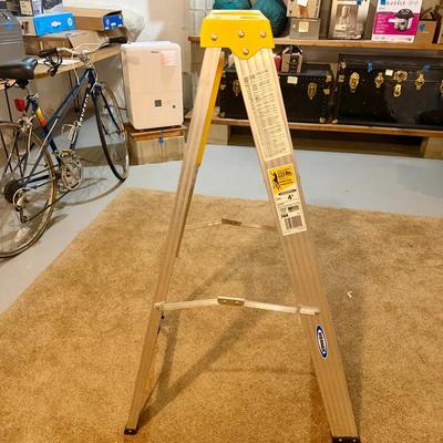 Werner 4’ Ladder 