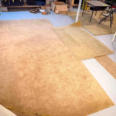 Incredibly Desirable High-Quality THICK Carpet Segments