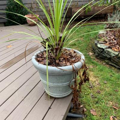 Sale Photo Thumbnail #149