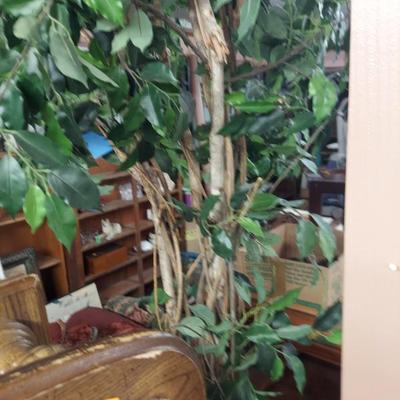 Sale Photo Thumbnail #22