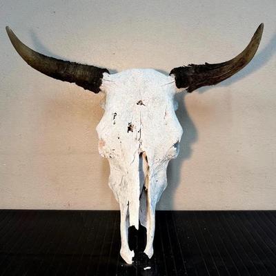 Authentic Weathered Longhorn Steer Skull With Natural Horns – Rustic Southwestern Decor