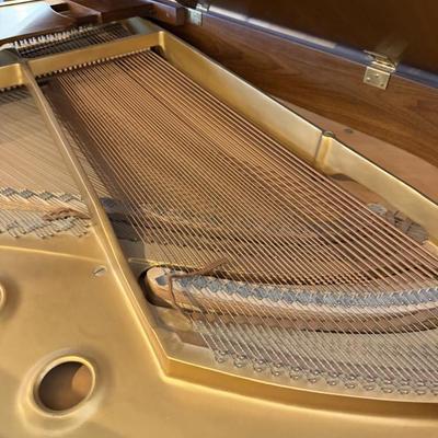 Sale Photo Thumbnail #89