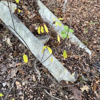 Sale Photo Thumbnail #100