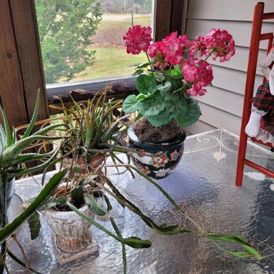 Sale Photo Thumbnail #796