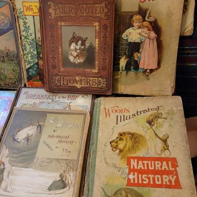 Sale Photo Thumbnail #250