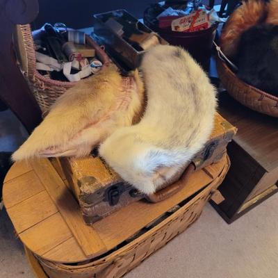 Sale Photo Thumbnail #355