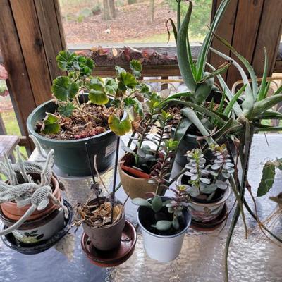 Sale Photo Thumbnail #795