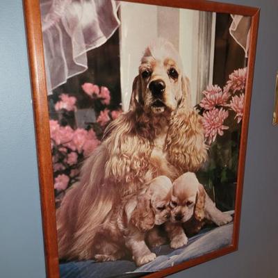 Sale Photo Thumbnail #405