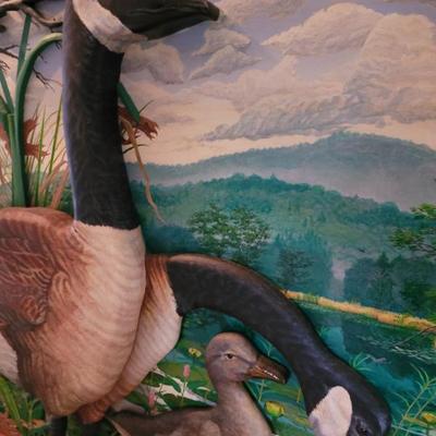 Sale Photo Thumbnail #691