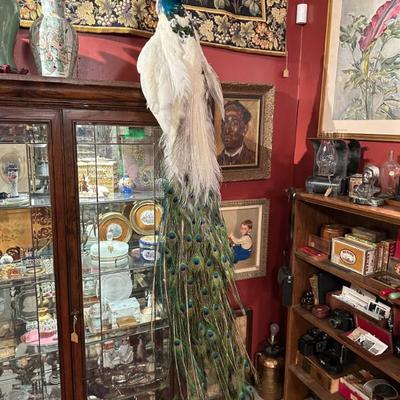 Sale Photo Thumbnail #53