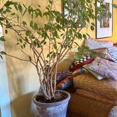 Sale Photo Thumbnail #133