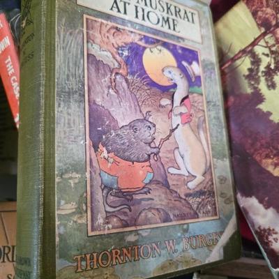 Sale Photo Thumbnail #37