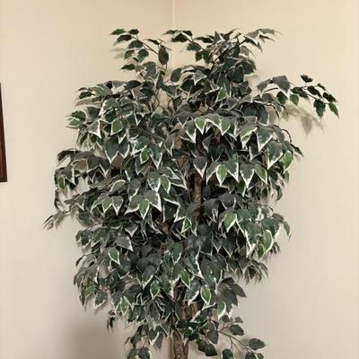 Sale Photo Thumbnail #49