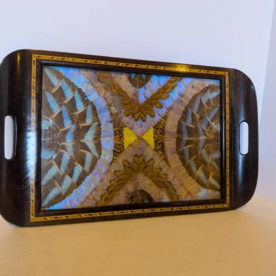 Vintage Brazilian Butterfly Wing Inlay Tray – Lucite/Glass Top – Exotic Iridescent Display Piece