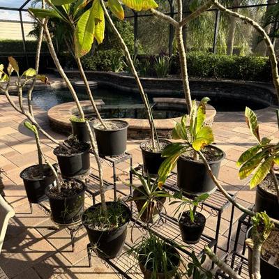 Sale Photo Thumbnail #580