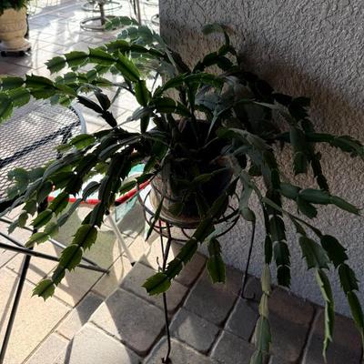 Sale Photo Thumbnail #584