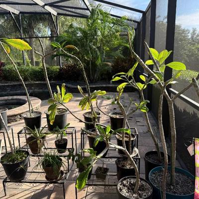 Sale Photo Thumbnail #581