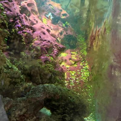 Sale Photo Thumbnail #570