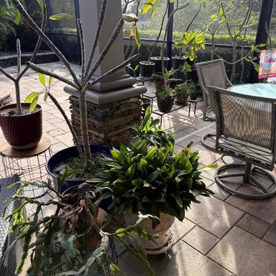 Sale Photo Thumbnail #583