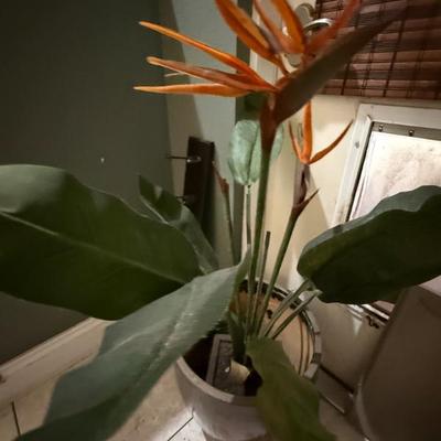 Sale Photo Thumbnail #423