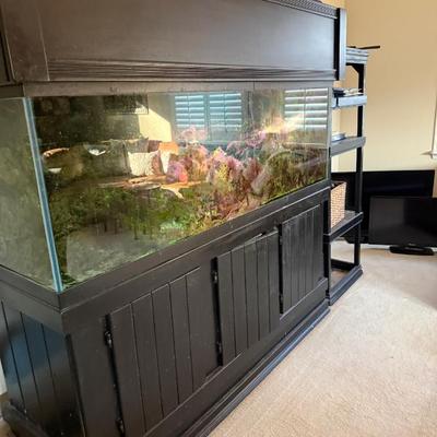 Sale Photo Thumbnail #569