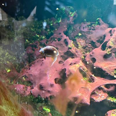 Sale Photo Thumbnail #571