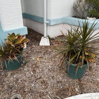 Sale Photo Thumbnail #2