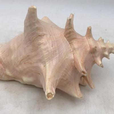 Sale Photo Thumbnail #37