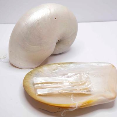 Sale Photo Thumbnail #120