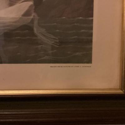 Sale Photo Thumbnail #99: Canvas backed ducks framed print