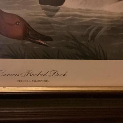 Sale Photo Thumbnail #140: Framed print