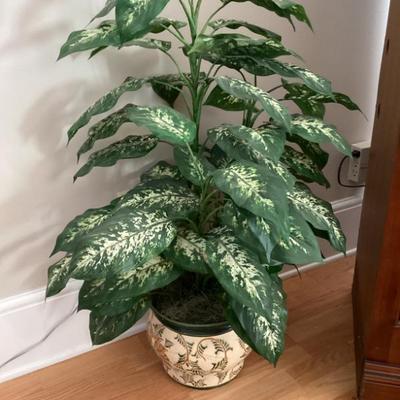 Sale Photo Thumbnail #118: Decorative plant in ceramic pot img 3517