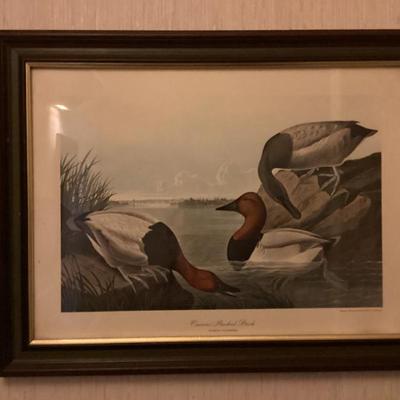 Sale Photo Thumbnail #98: Canvas backed ducks framed print