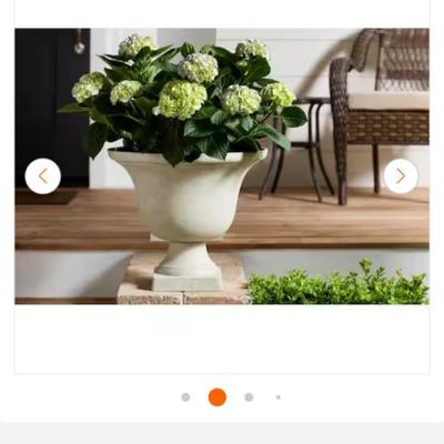 Sale Photo Thumbnail #543