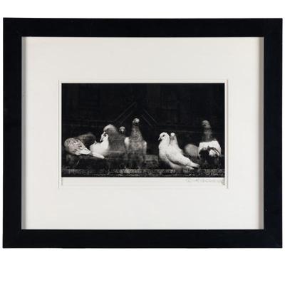 Ruth Bernhard (American, 1905-2006) Pigeons, San Francisco, 1956