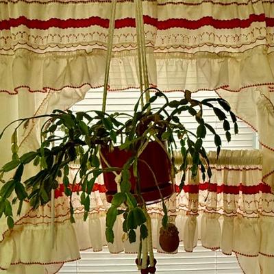 Sale Photo Thumbnail #137