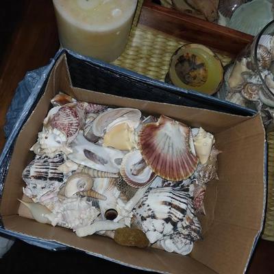 Sale Photo Thumbnail #26