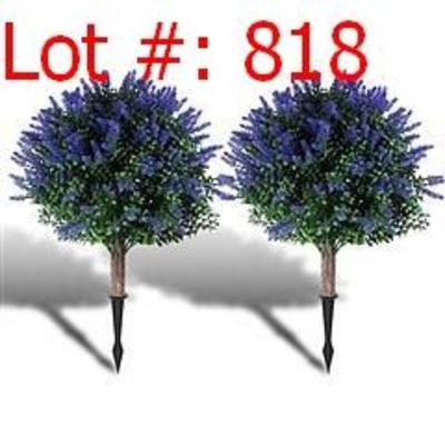 Sale Photo Thumbnail #819