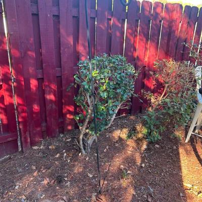 Sale Photo Thumbnail #656