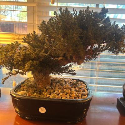 Sale Photo Thumbnail #588: $35. 