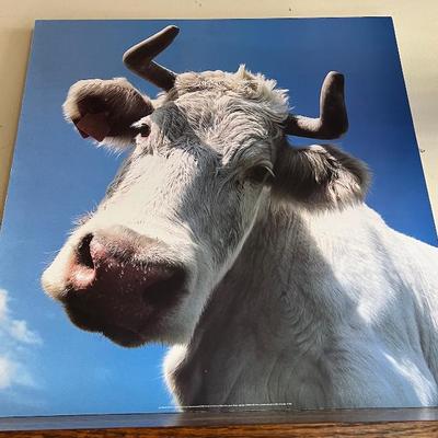 Sale Photo Thumbnail #26