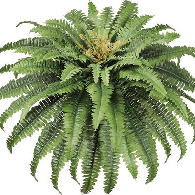 Sale Photo Thumbnail #32