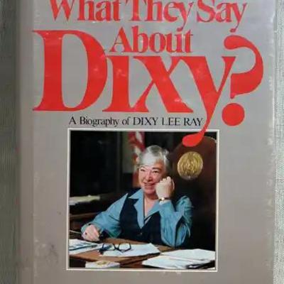 What they say about Dixy
